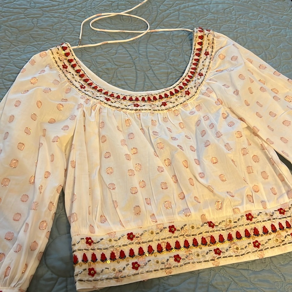 Anthropologie Embroidered and Beaded Crop Top